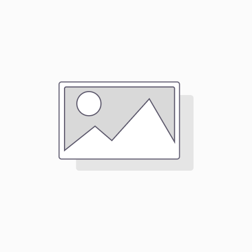 Gamecube switch game storage